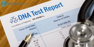 What Is The Best DNA Service?