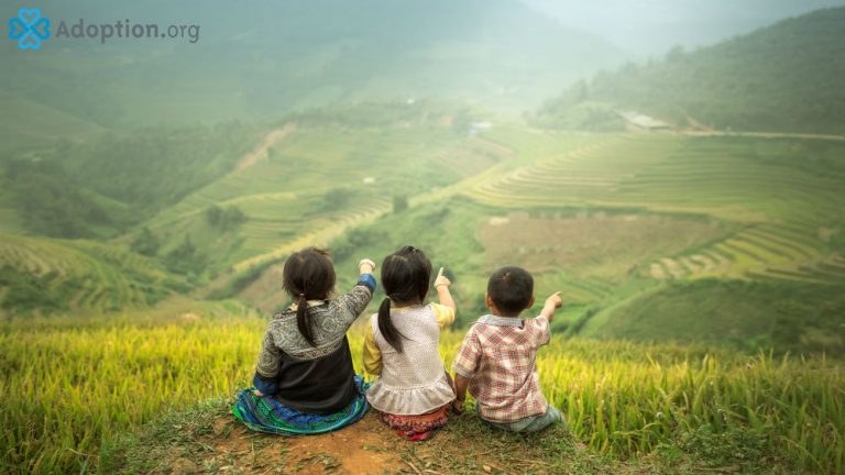 how-long-does-vietnam-adoption-take-adoption