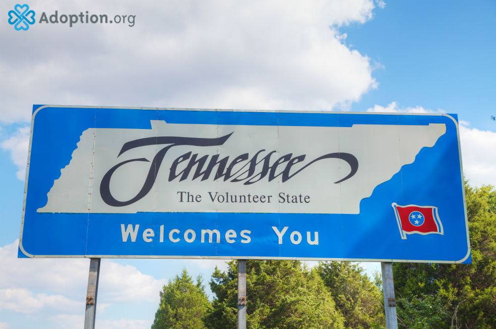 What Are the Adoption Laws in Tennessee?