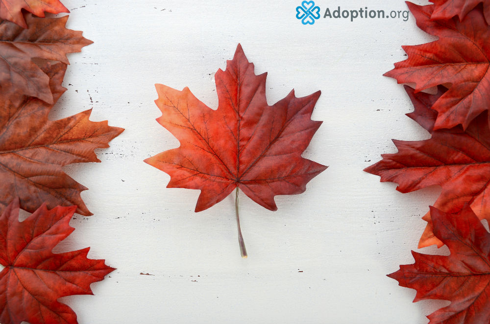 how-does-adopting-a-child-in-canada-work-adoption