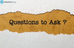 What Questions to Ask Adoption Agencies Before Applying?